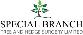 Special Branch logo